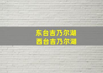 东台吉乃尔湖 西台吉乃尔湖